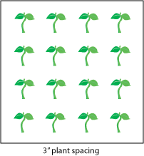 Plants Per Square Foot Chart