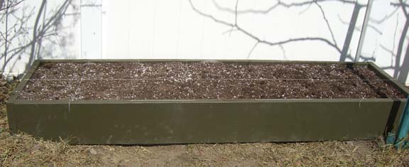 10 inch Douglas Fir square foot garden box
