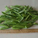 square foot gardening small harvest peas june 22 150x150