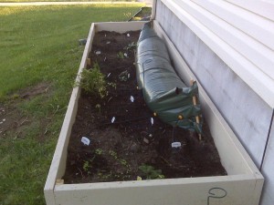 May 2010- north side of house