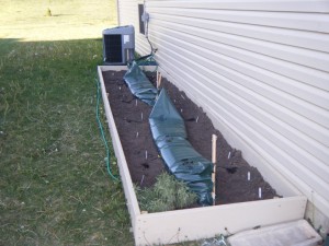 May 2010- south side of house