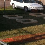 Square Foot Garden in North Dakota Stevens Plan square foot gardening Photo22 150x150