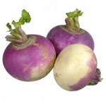 square foot gardening Turnips 150x150