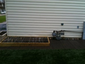 North bed facing East