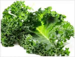 kale square foot gardening kale 300x229