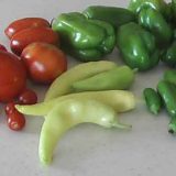 peppers-august-mar2017